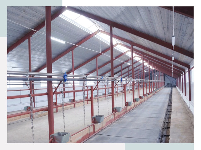 Строительство коровников в Вольске от 608 руб.