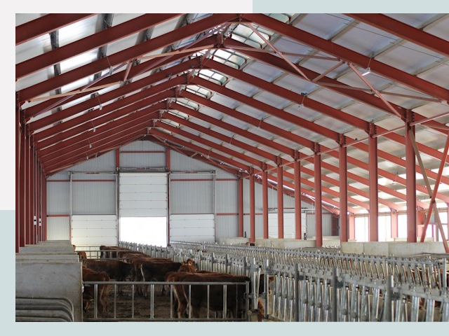 Строительство коровников в Вольске