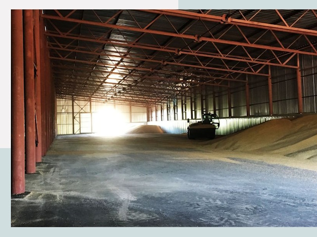 Строительство зернохранилищ в Вольске